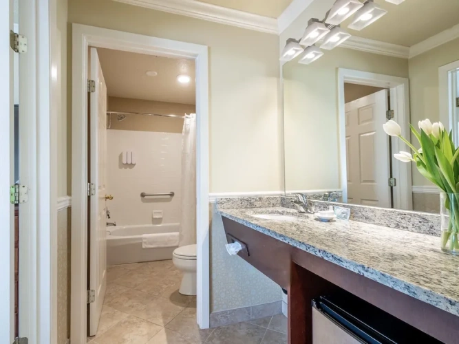 1 Bedroom Premier Suite with lake view