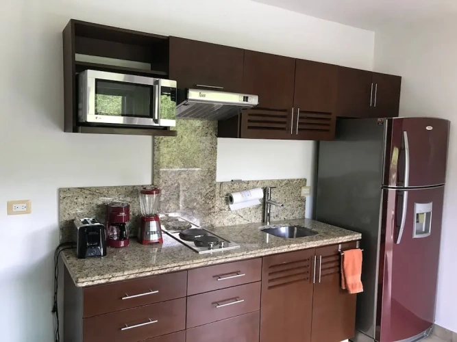 Standard Apartment with balcony