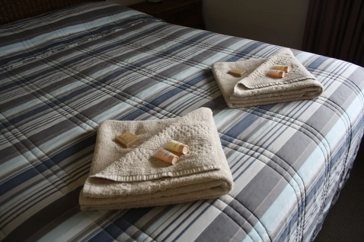 1 Bedroom Standard Double room