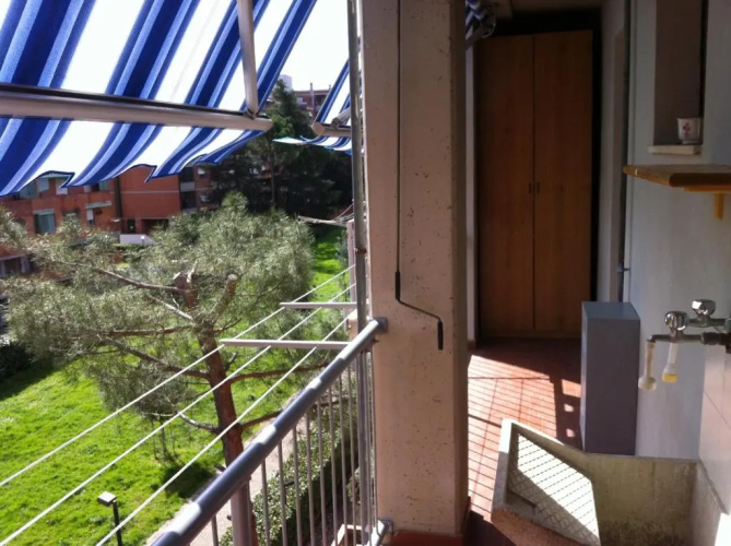 Dario's House