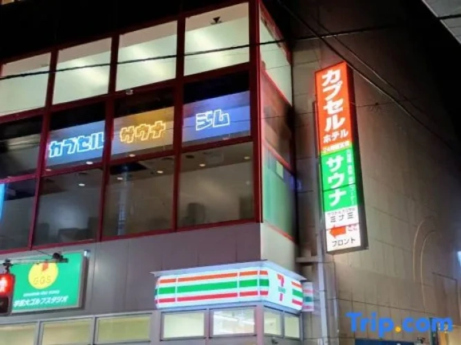 Sauna and Capsule Minami Gakugeidai