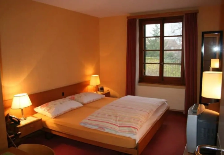 Standard Double room with lake view