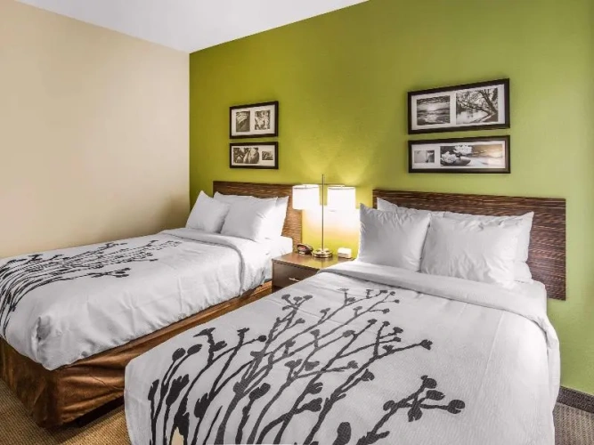 Standard Sextuple room