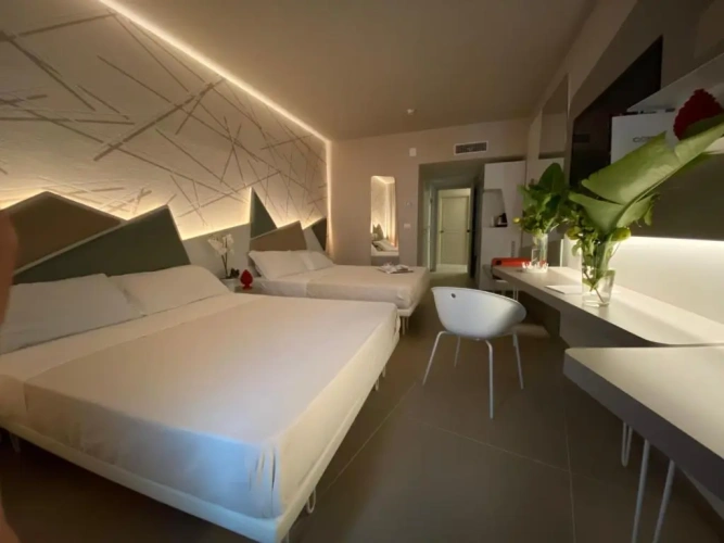 Superior Twin room