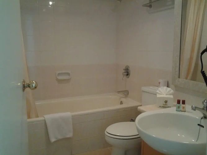 1 Bedroom Deluxe Apartment with view