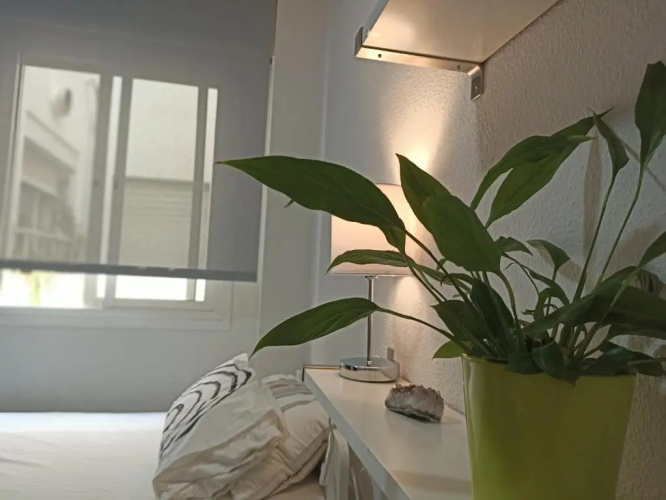 Confortable habitación céntrica