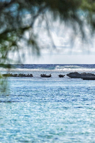 EDEN - Private Island - TAHA'A