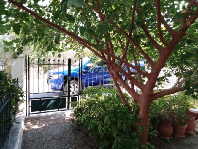 1 Bedroom Single Apartment