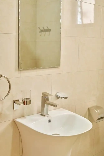 Luxury Apartment