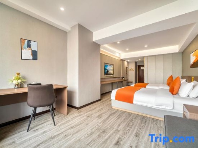Standard Double room with city view