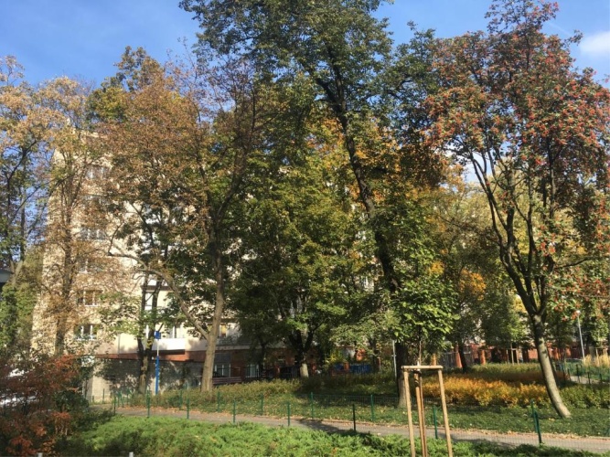 Double Apartment with garden view