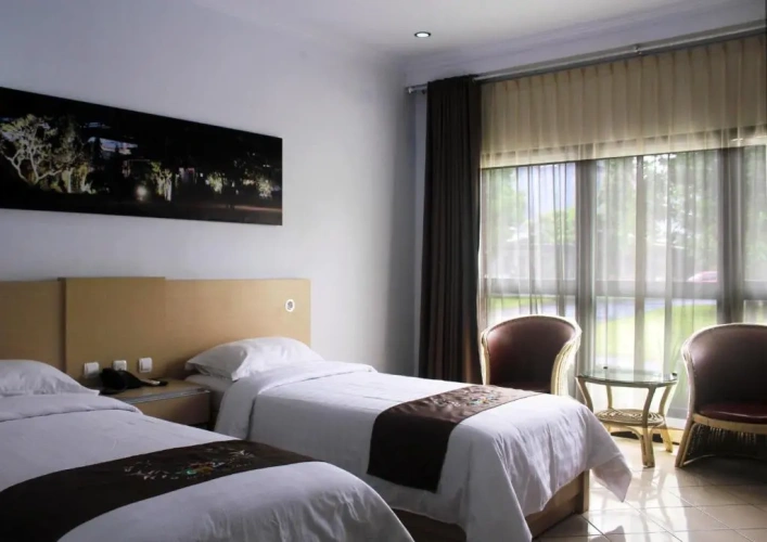 Deluxe Twin room