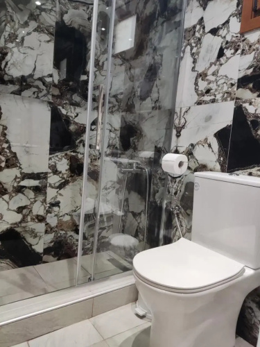 House Dolphins