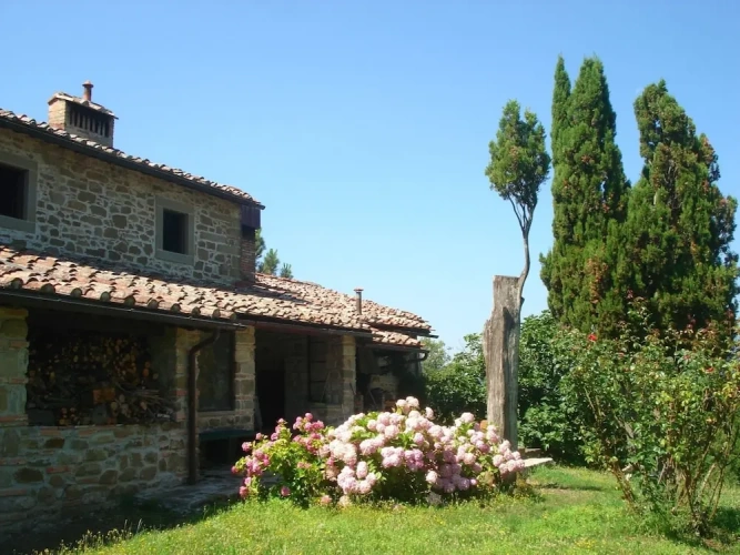 Cottage