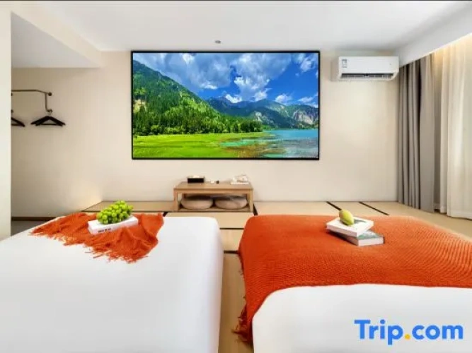 Standard Twin room with mountain view