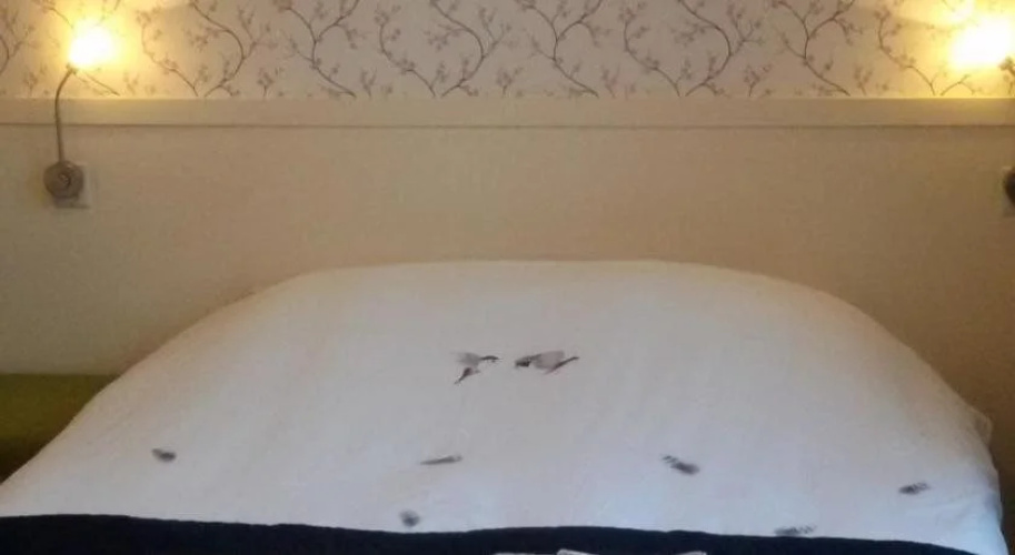 Bed & Breakfast De Glasparel