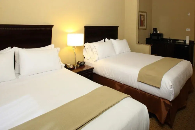 Holiday Inn Express And Suites Mobile West - I-65