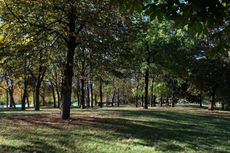 ibis Daumesnil Porte Dorée - Image 11