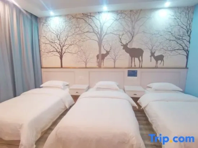 Standard Triple room