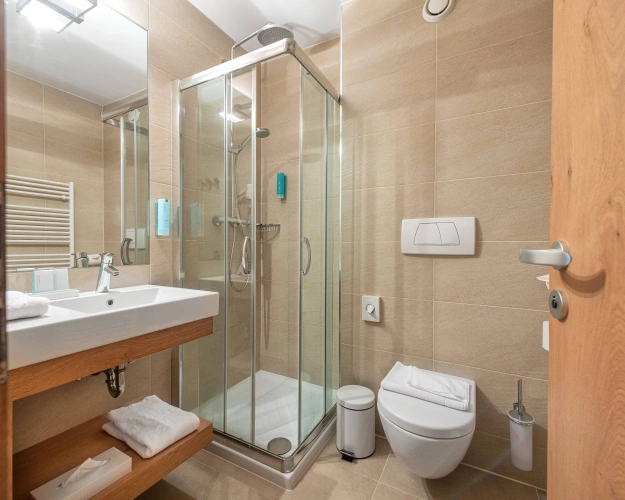Standard Double room with balcony and with mountain view