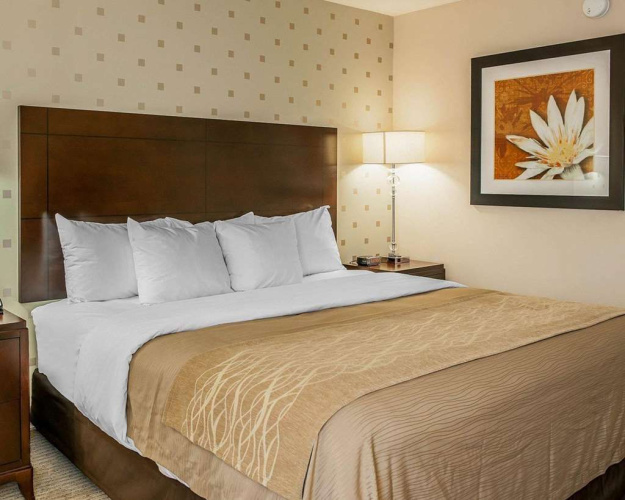 Comfort Inn