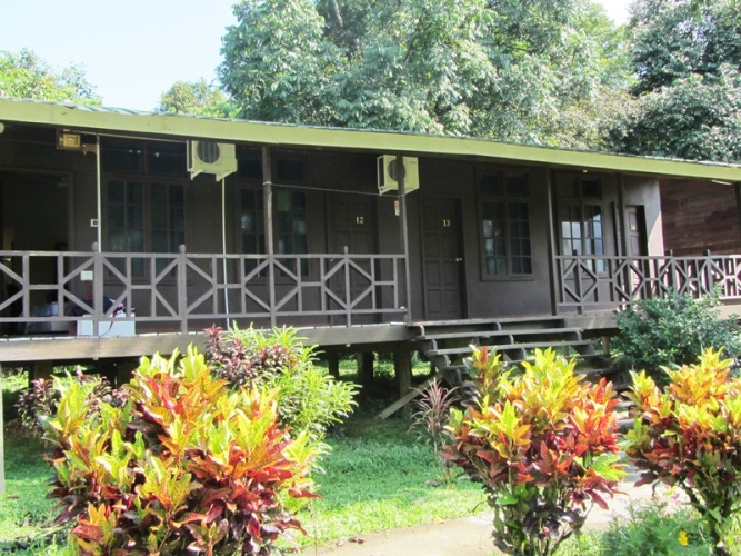 Standard Twin room with balcony and with view