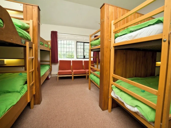 Bed in Dorm