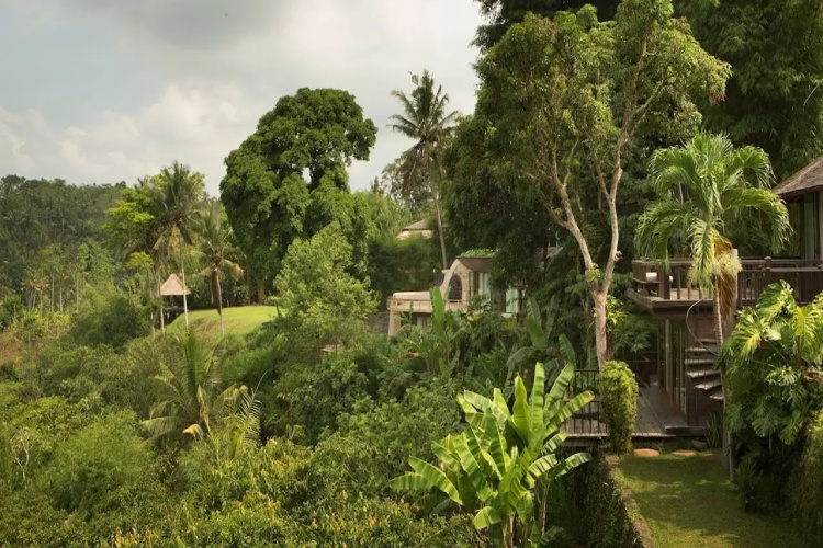 Villa Kamaniiya