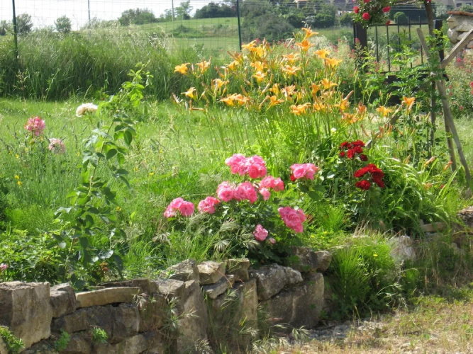 La Framboisière