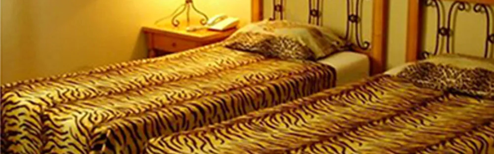 Zoobic Lodge