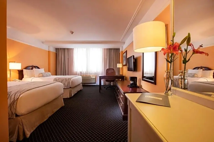 Deluxe Double room with view