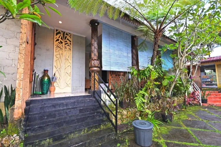 Standard Villa with view