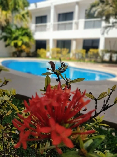 Superior Double room with view