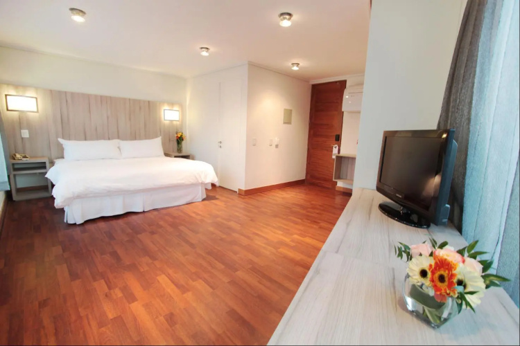 Hotel Terrado Providencia