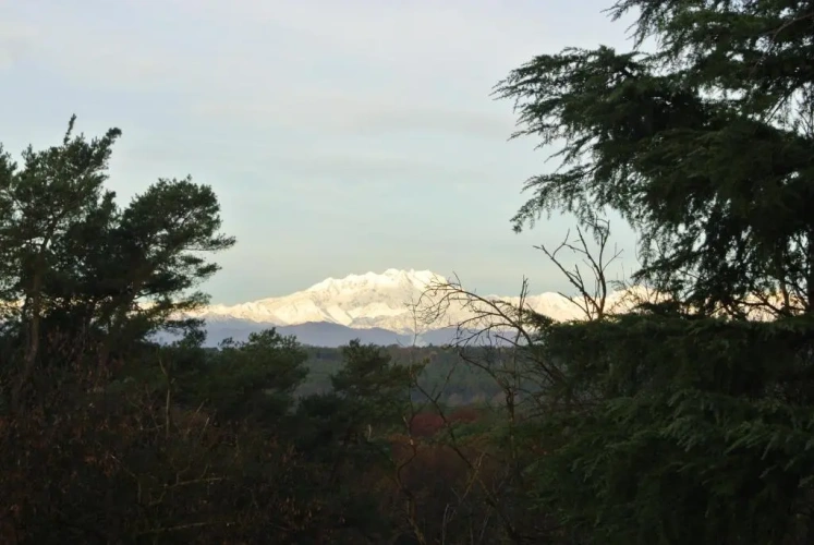 Deluxe Double room with mountain view