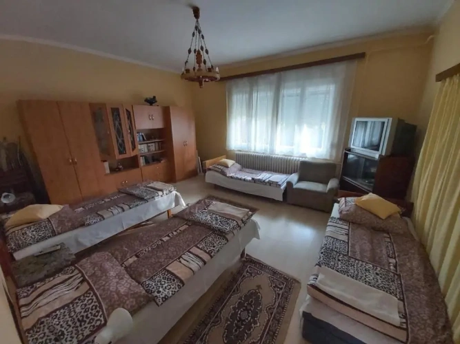 Standard Double room with garden view