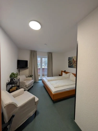 Standard Double room with park view