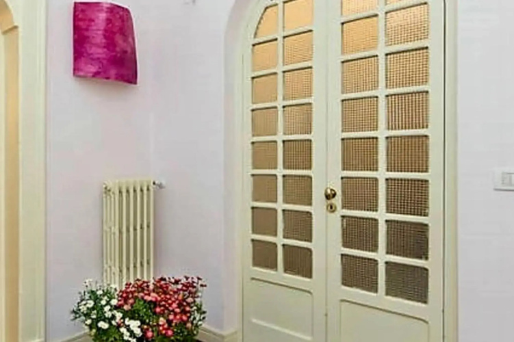 The windows