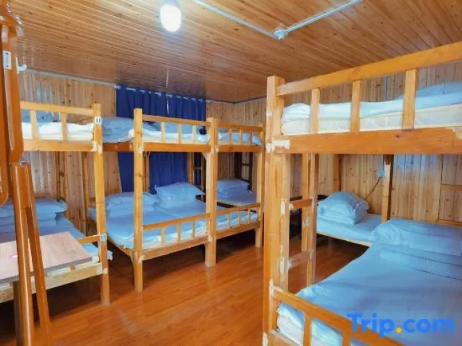 Bed in Dorm