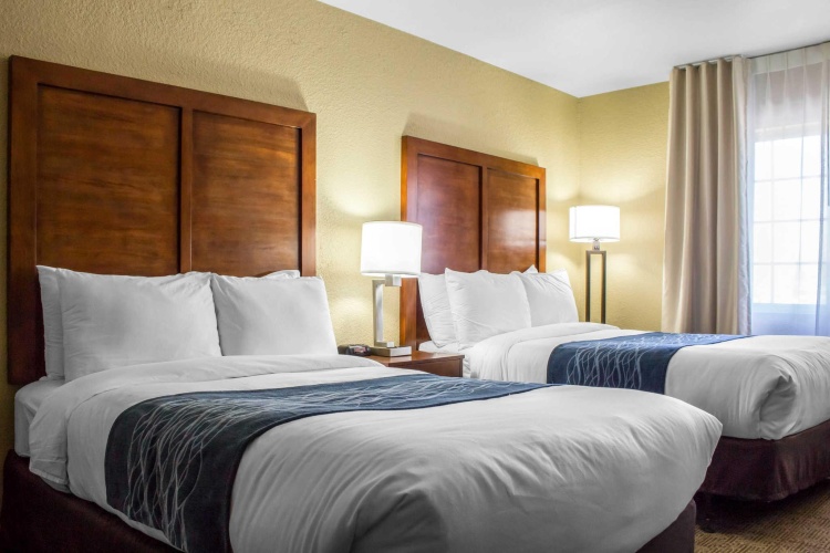 Standard Double room