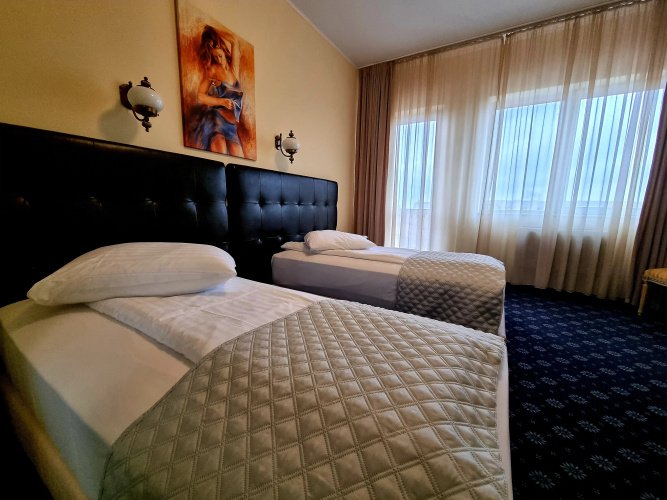 Hotel Coandi