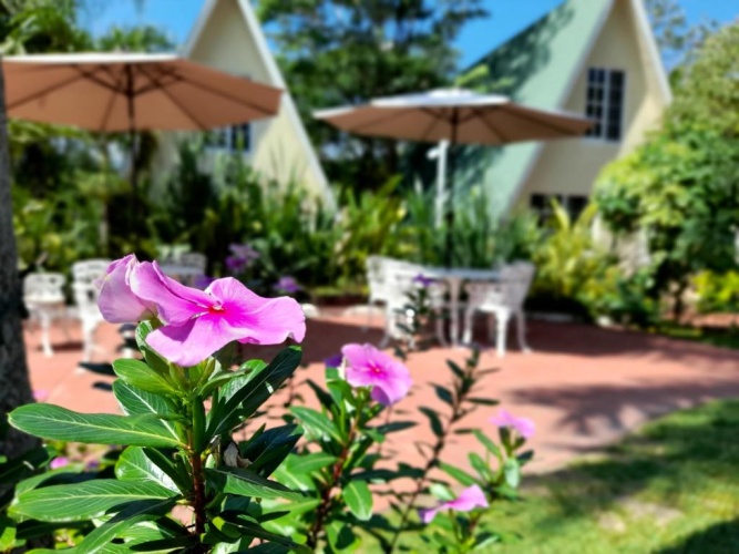 Bungalow