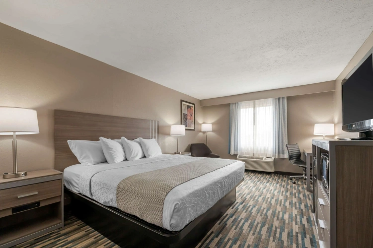 Standard Double room
