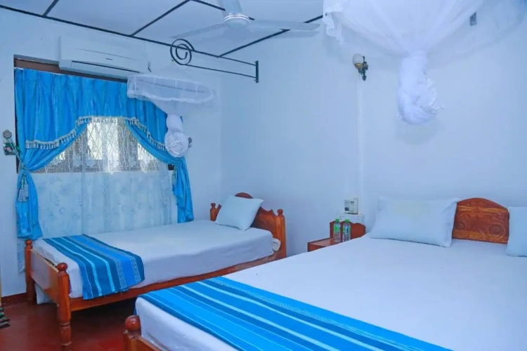 Deluxe Double room with view