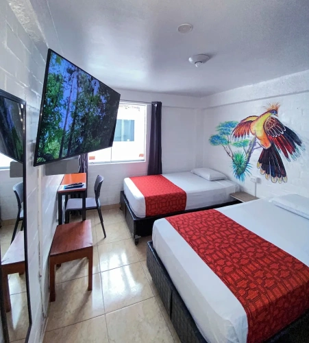 Economy Twin room