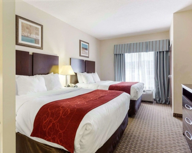 Quadruple Suite