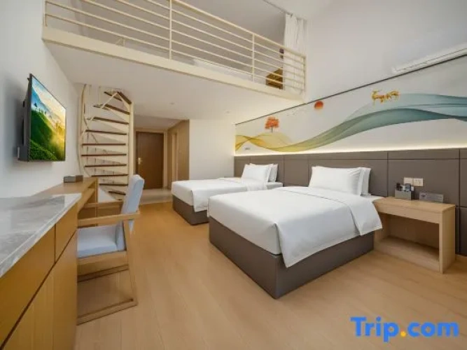 Triple Apartment