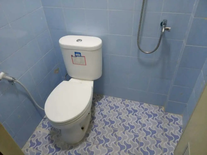 Guest House 647