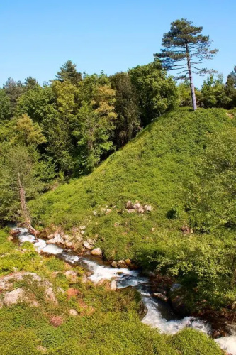 Auberge Du Bosquet