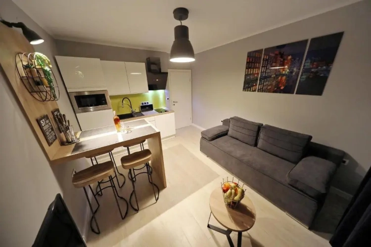 1 Bedroom Apartment